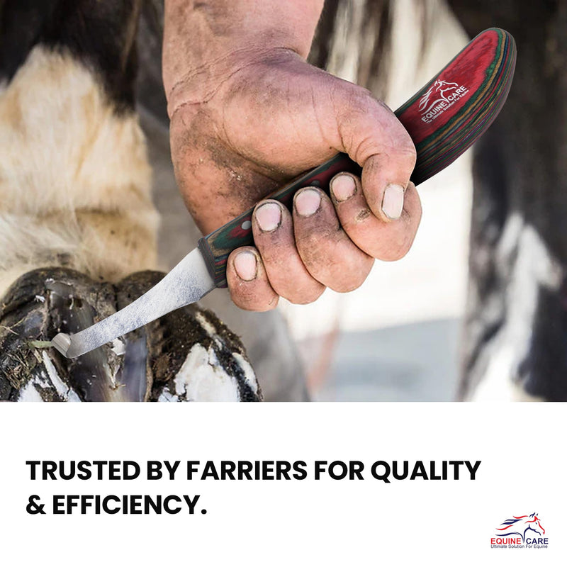 Right-Handed Hoof Knife: Razor-Sharp J2 Steel Blade, Comfort Grip - Ultimate Precision Trim & Grooming Farrier Tool for Superior Horse Hoof Care. - BeesActive Australia