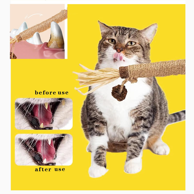 Silvervine Chew Sticks for Cats,QIANSSE4 Pack Cat Chew Toys Natural Dental Cleaning Chew Sticks for Indoor Cats Kitten Teething
