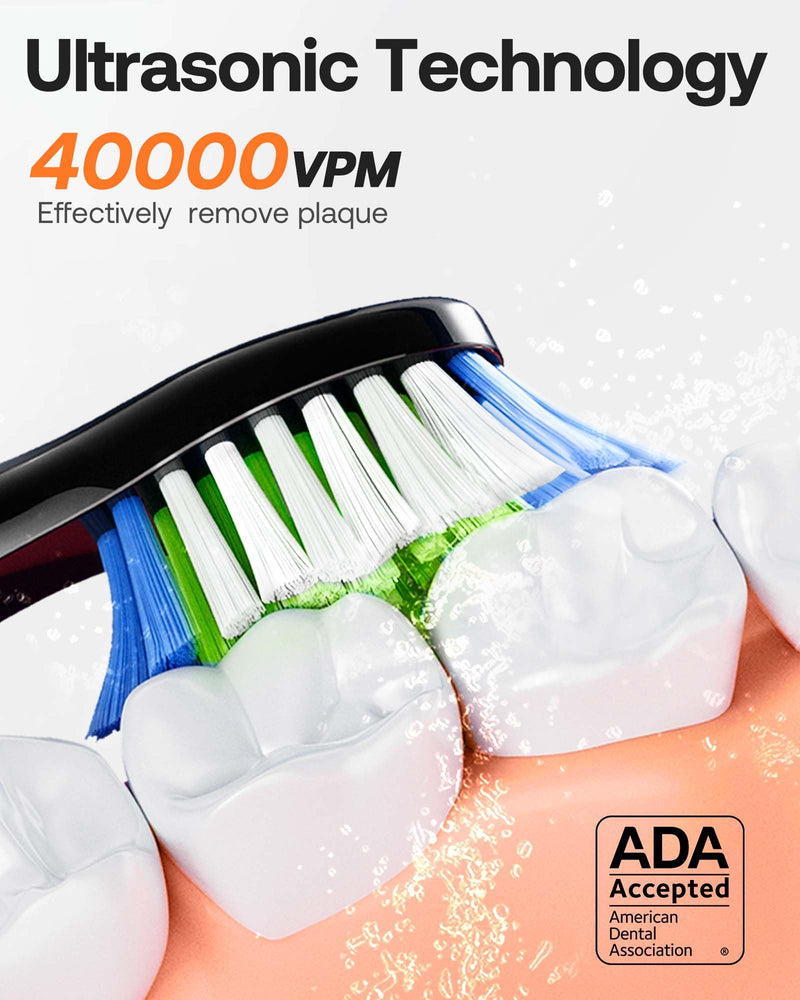 Bitvae Electric Toothbrush for Adults - Ultrasonic Electric Toothbrushes with 8 Brush Heads, ADA Accepted Power Rechargeable Toothbrush with 5 Modes, Smart Timer, Black D2 - BeesActive Australia