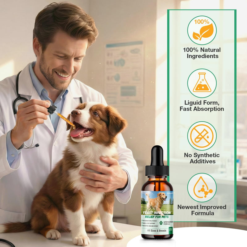 Yeast Infection Treatment for Dogs, Natural Dog Yeast Infection Treatment, Ear & Skin Itch Relief, Reduces Inflammation & Irritation, Herbal Dog Supplement Drops with Probiotics & Multivitamins, 2 FL 1 PACK