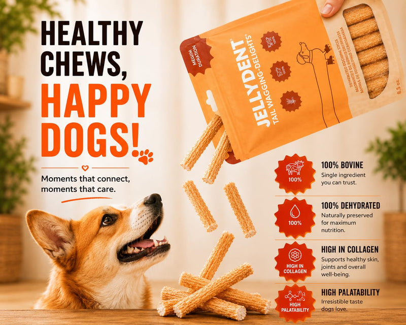 Jellydent Dog Dental Chews – Single Ingredient Beef Skin Chews for Plaque & Tartar Control – High Protein Natural Treats for Adult Dogs (10 Count, 5.15 oz)