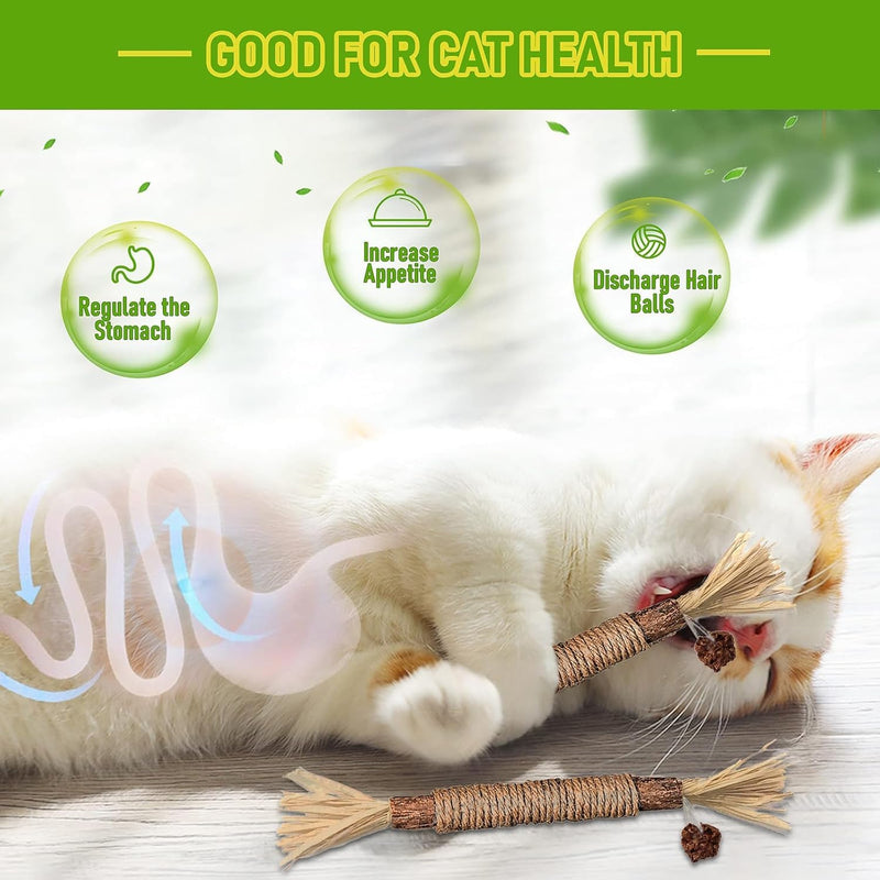 Catnip sticks, pack of 6 catnip sticks, chewing sticks for cats, cat dental care toys, dental chewing sticks help with tartar and bad breath, healthy hygiene dental care, brown - BeesActive Australia