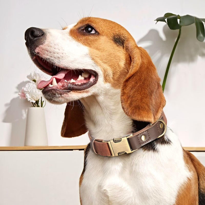 Didog Soft Padded Leather Dog Collar for Large Dogs, Classic Heavy Duty Dog Collar with Quick Release Metal Buckle, Adjustable Large Dog Collar, Leather, Brown, Size L L: Neck Adjustable 38-58cm - BeesActive Australia