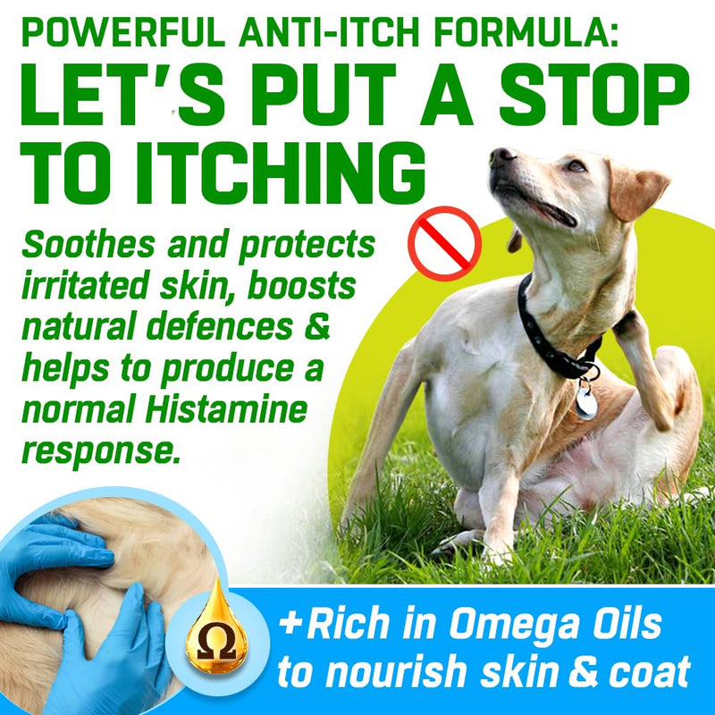 Anti Itch Chews for Dogs | Allergy Relief with Quercetin | 10-in-1 Probiotics, Omega 3, Colostrum & Astragalus | Real Meat Soft Chews, Grain Free | 150 Chews