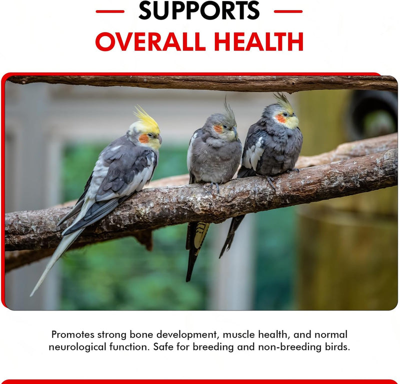 Morning Bird Calcium Plus Liquid Supplement for Birds - Liquid Calcium Formula with Magnesium and Vitamin D3 Calcium Supplement for All Birds – 2 Fl Oz - BeesActive Australia