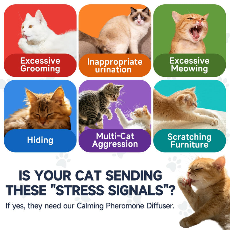 Anti Cat Pee Diffuser Calm Calming Cat Pheromone Pet Diffuser Plug In Spray Relaxer For Cats Anxiety Feromonas Calming Pheromones Relaxing Stress Diffuser Calmer With 4 Refill Peeing Cat Diffusers 2 diffuser,4 refill