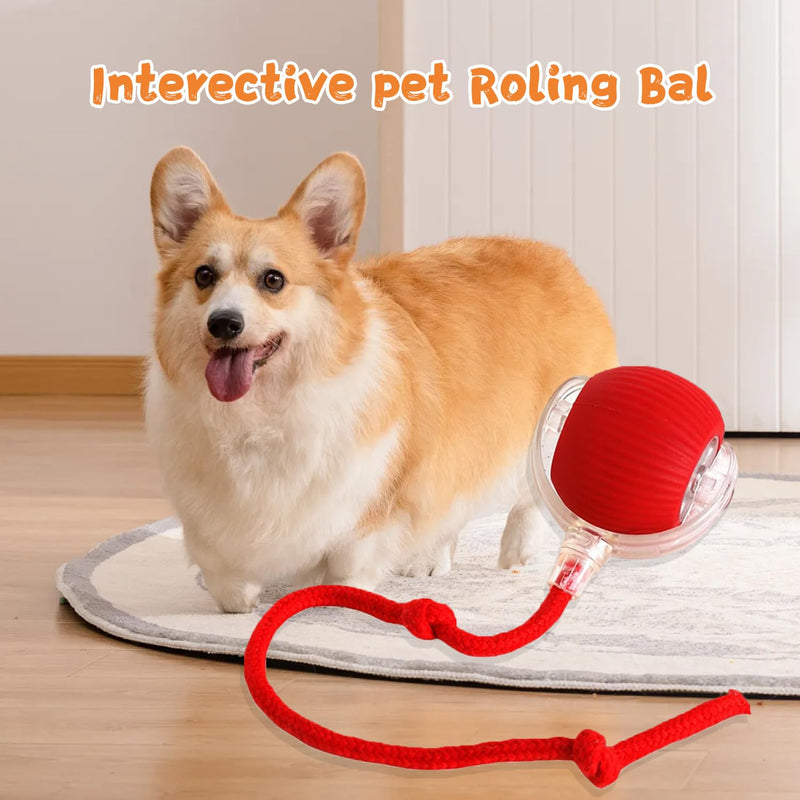 Interactive Rolling Dog Ball,Electric Dog Ball Toy,2024 New Interactive Rolling Ball Dog Toy,Viral Rolling Ball for Dog/Cat,360° Smart Automatic Rolling Ball Toy Rechargeable（Red+Red） Red+Red - BeesActive Australia