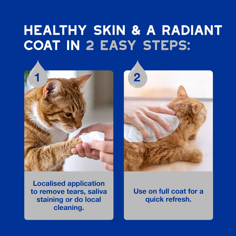 DOUXO Spa Complete Cat Bundle – No-Rinse Mousse & Wipes for for Stress-Free, Waterless Skincare - 97% Natural Ingredients, No Nasties