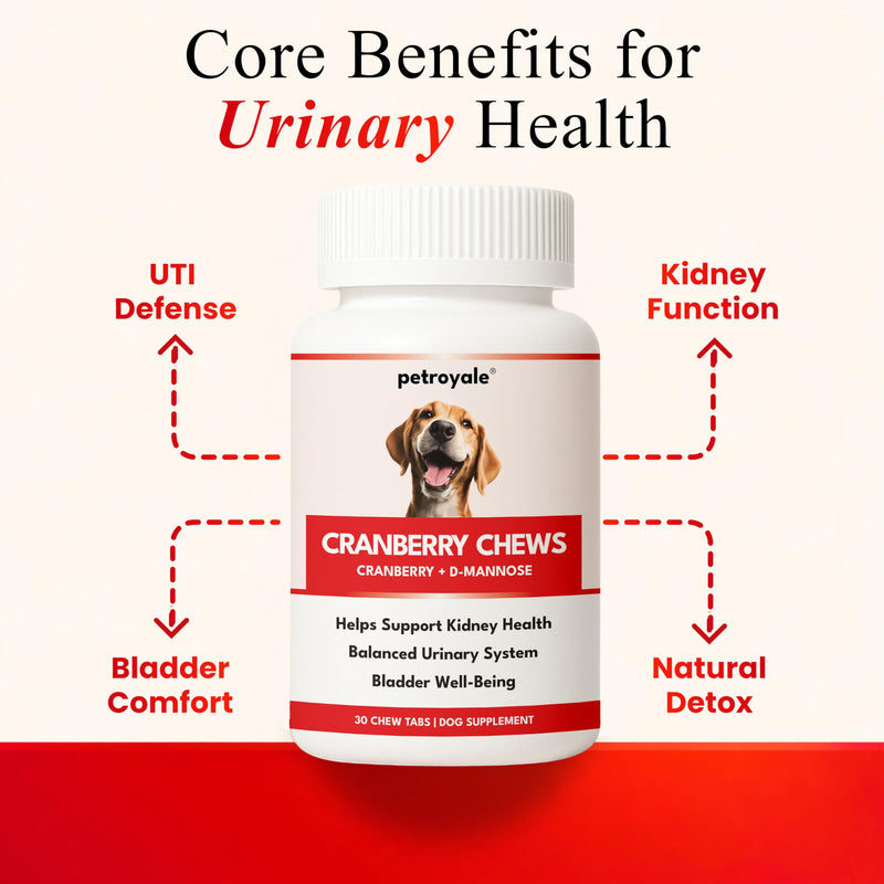 Cranberry Chews for Dogs – UTI Support & Bladder Support – Cranberry Supplement for Dogs – Dog Kidney Support – Urinary Tract & Bladder Control (30 Soft Chews) 30 Soft Chews
