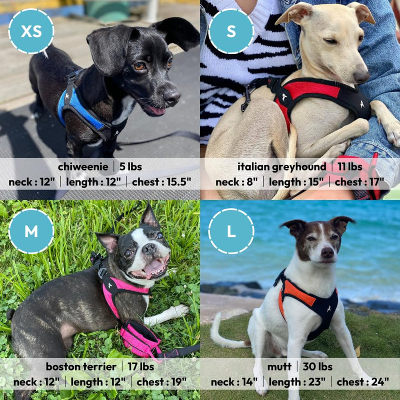Gooby - Escape Free Easy Fit Harness, Small Dog Step-In Harness for Dogs that Like to Escape Their Harness, Turquoise, Small Small chest (16~19.25") - BeesActive Australia