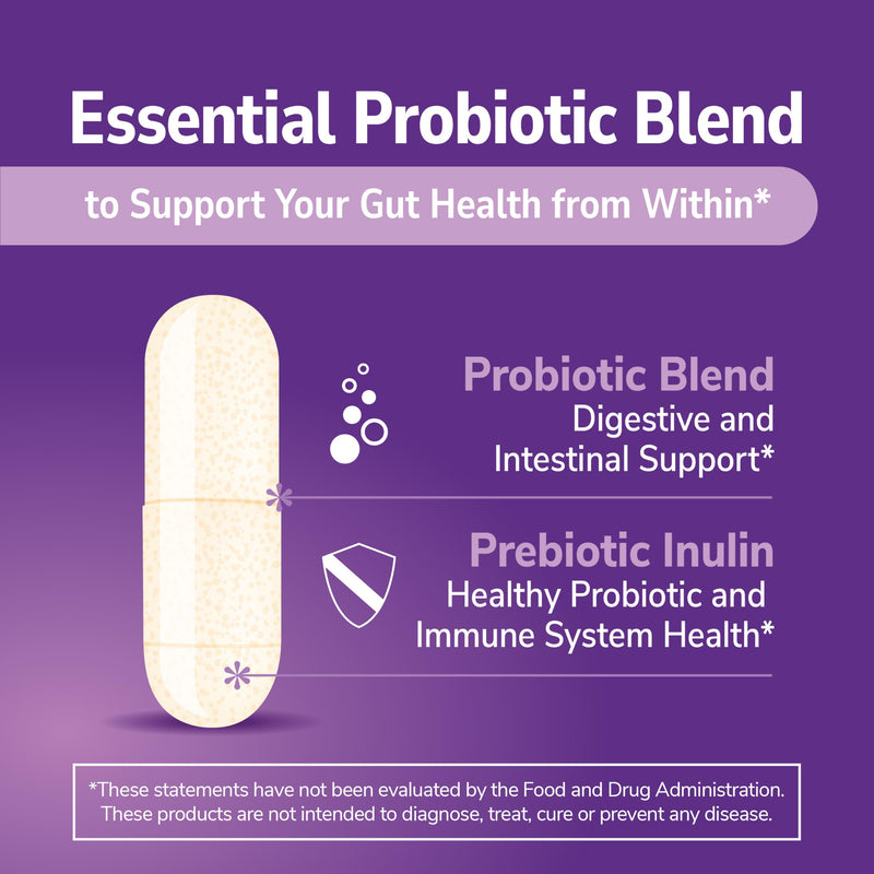 21st Century Acidophilus Probiotic Blend Capsules, 100 Count | Daily Probiotic with Lactobacillus Acidophilus & Inulin Prebiotic, Digestive & Immune Health Support, Everyday Gut Balance 1