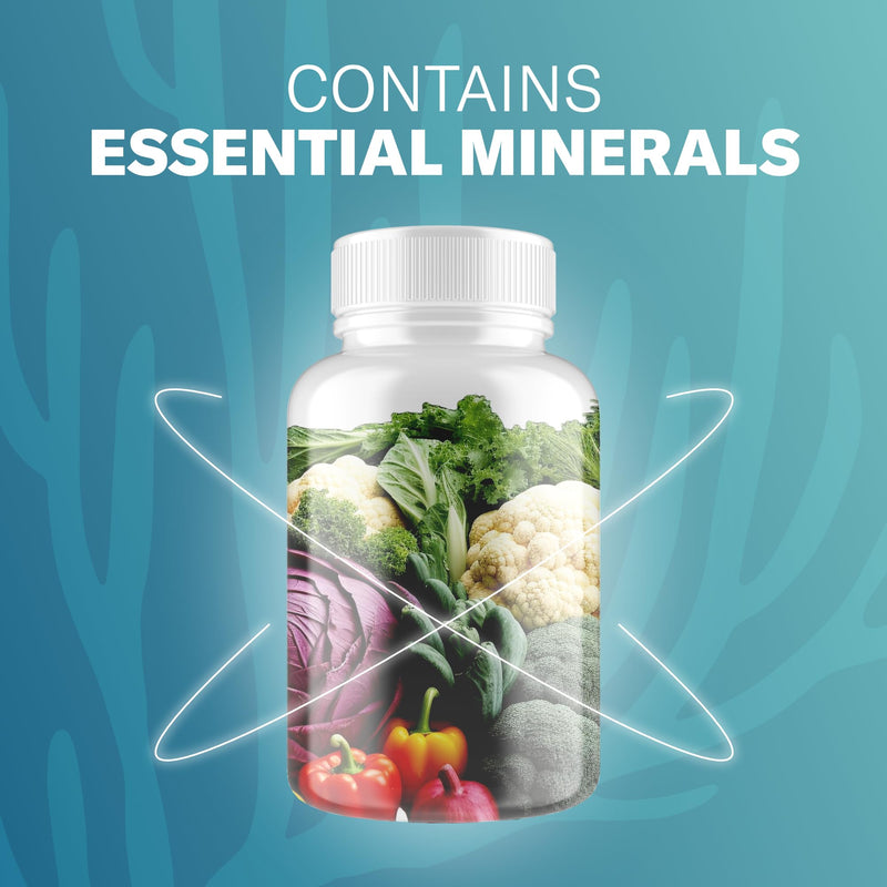 TrueSeaMoss Irish Sea Moss Capsules – 1600 mg – 120 Capsules, 30 Portions | Fruit Extracts Superfood for Overall Wellness – Supports Immune Health Naturally – Essential Vitamins and Minerals SeaMoss 1 Count (Pack of 120)