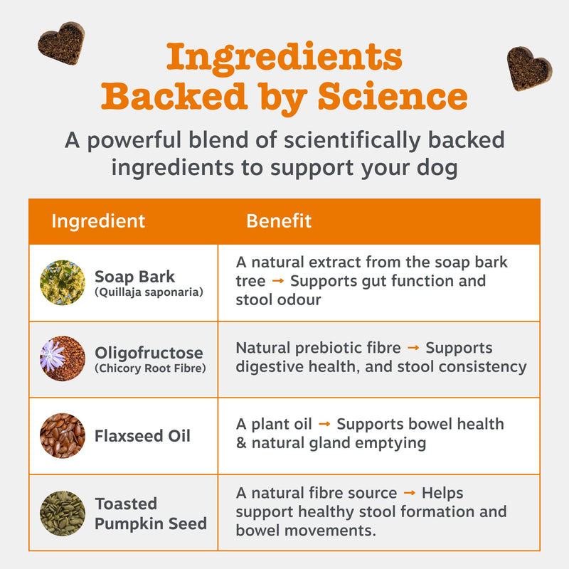 Zesty Paws Scoot Away Chews for Dogs | Supports Anal Gland Function, Digestive Health & Bowel Movements | With Prebiotic Fibre, Oligofructose, Flaxseed Oil, Toasted Pumpkin Seed| Daily Use | 90 Chews