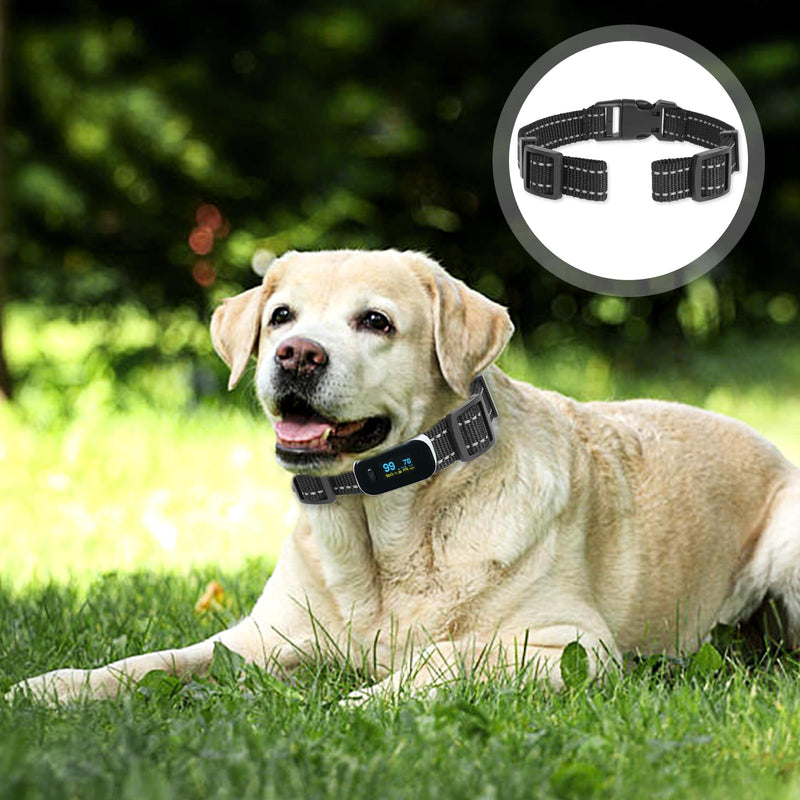 2 Pack Collar Strap Reflective Heavy Duty Replacement Collar for Electronic Fence Training Barking Collar GPS Tracker, Collar Replacement Strap for Most Dog Training Collar Receivers - BeesActive Australia