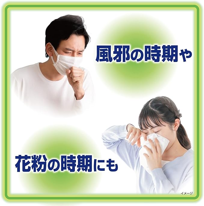 Kobayashi Pharmaceutical Heated Sheet for Adults, Cooling Sheet, Mint, 12 Sheets, Gentle on the Skin, Weak Acid - BeesActive Australia
