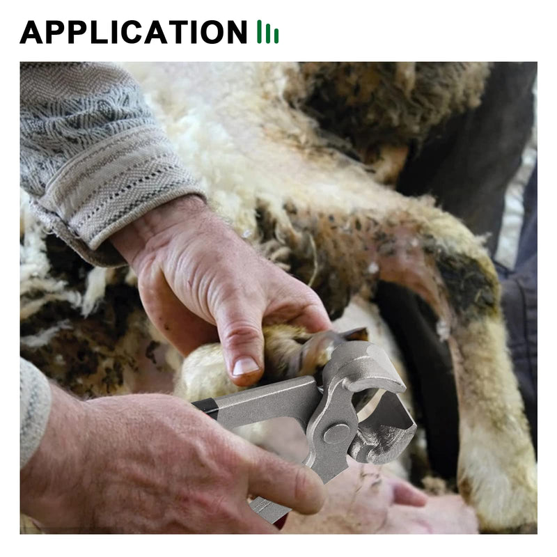 Goats Hoof Nipper 8" Carbon Steel Farrier Tool Multi-Purpose Hoof Trimmers with Plastic Grips for Cattle Sheeps Horses 8in. Green - BeesActive Australia