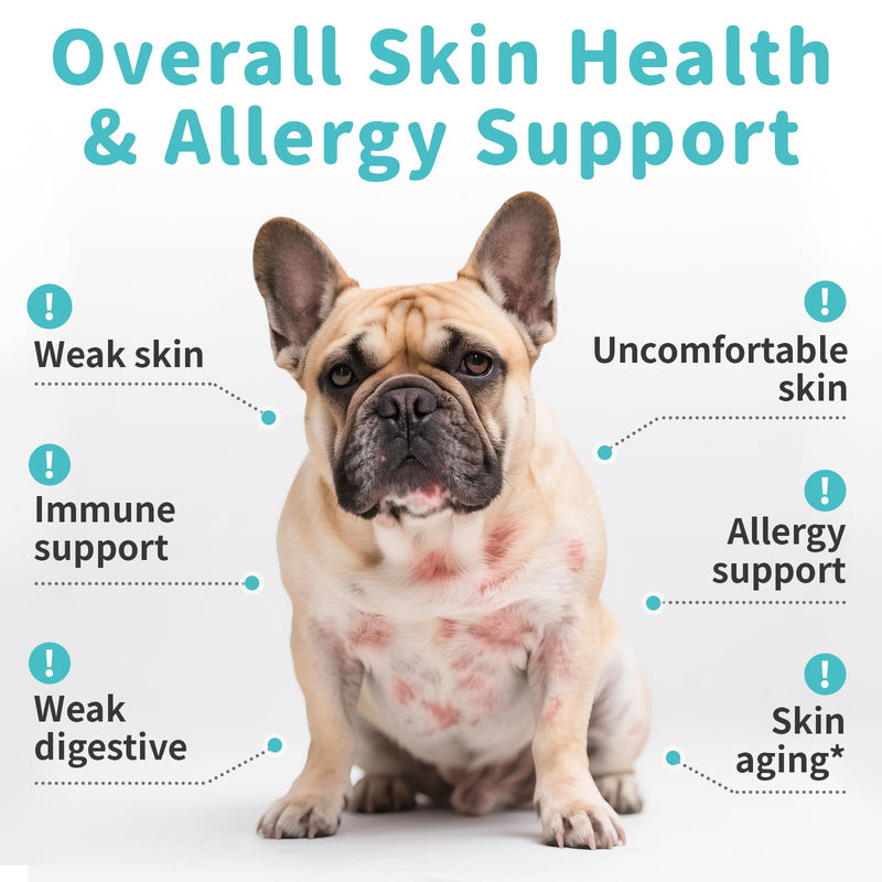 Dog Allergy Relief Soft Chews - Immune Supplement for Seasonal Allergies - Support Paw Licking & Itch Relief, Skin & Gut Health with Probiotics, Omega-3 - Beef Flavor, 90 Count