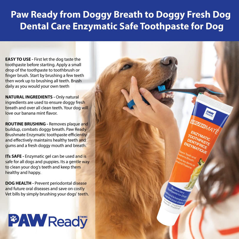 Doggy Breath to Doggy Fresh Dog Dental Care Kit Includes Enzymatic Toothpaste, Dual Brush Head Toothbrush with Angled Bristles and Blue Bite Block to Gently Keep Pets Jaw Open (Blue, Medium) - PawsPlanet Australia