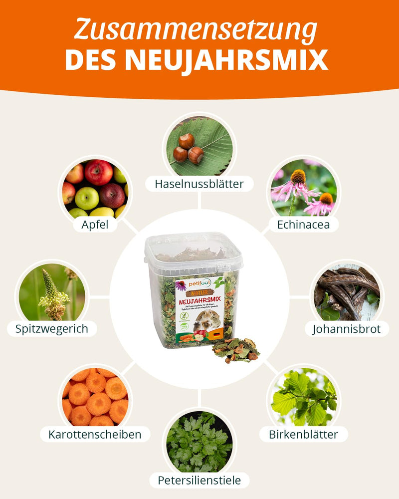 petifool New Year's mix 410g - supplementary food for rodents - natural rodent food for rabbits, guinea pigs, hamsters, chinchillas & more - without artificial additives - 100% natural - species-appropriate food 410g (pack of 1) - BeesActive Australia