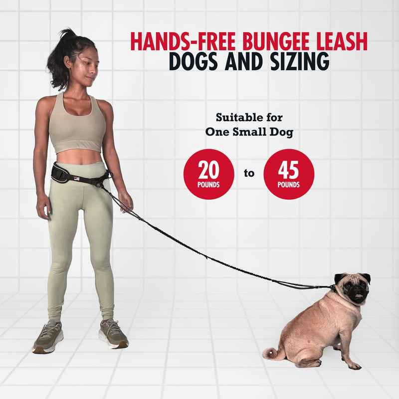 Add-On Accessory Bungee Leash and Hands Free Dog Leash - One Small/Medium Dog Up to 45 lbs