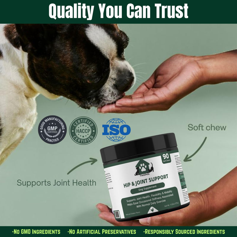 Dog Joint Supplement Chews - Glucosamine 600mg MSM 300mg Chondroitin Turmeric Green Lipped Mussel Collagen - Hip and Joint Chews for Senior & Active Dogs All Breeds - 90 Soft Chews Chicken