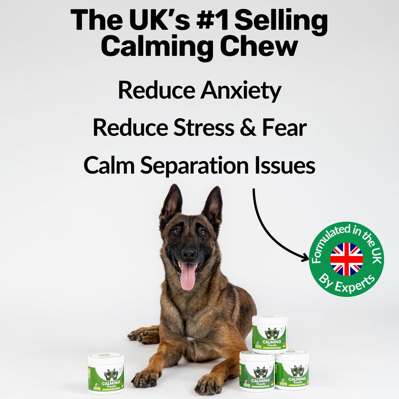 NutriPaw Calming Treats For Dogs - Reduce Stress, Fear, Separation, Barking, Hyperactivity, Reactivity, Aggression, Travel - Calm without Drowsiness dogs Single Pack