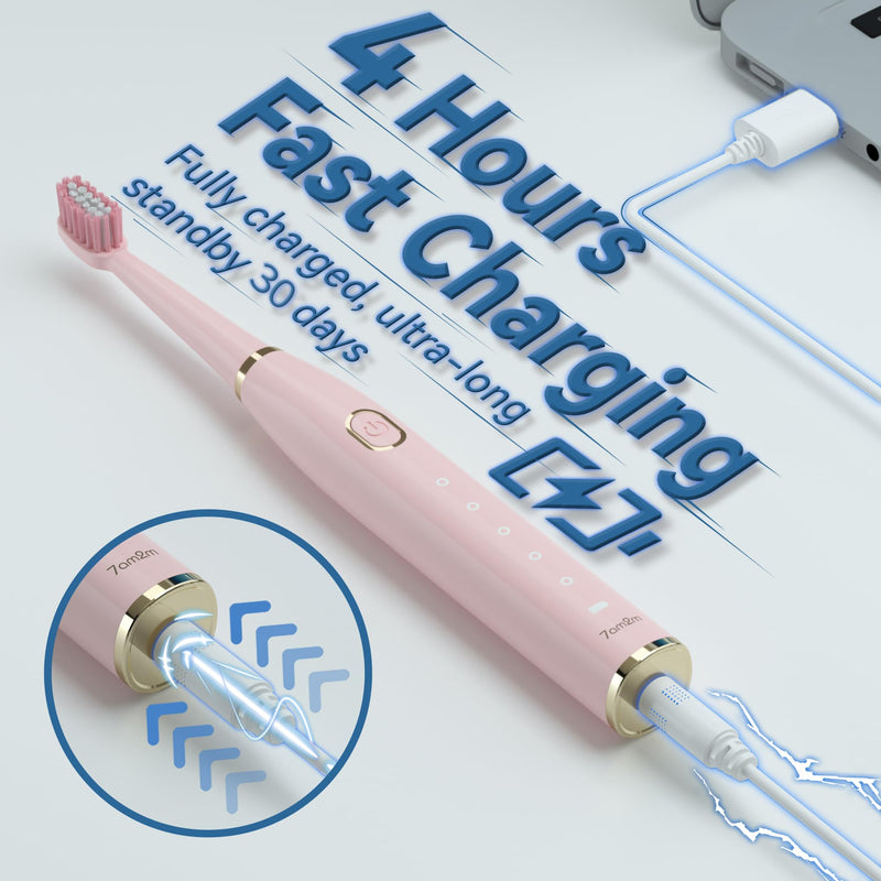 7AM2M Sonic Electric Toothbrush for Adults and Kids- High Power Rechargeable Toothbrushes with 8 Brush Heads,5 Adjustable Modes, Built-in 2-Minute Smart Timer,4 Hours Fast Charge for 30 Days(Pink) Pale Pink - BeesActive Australia
