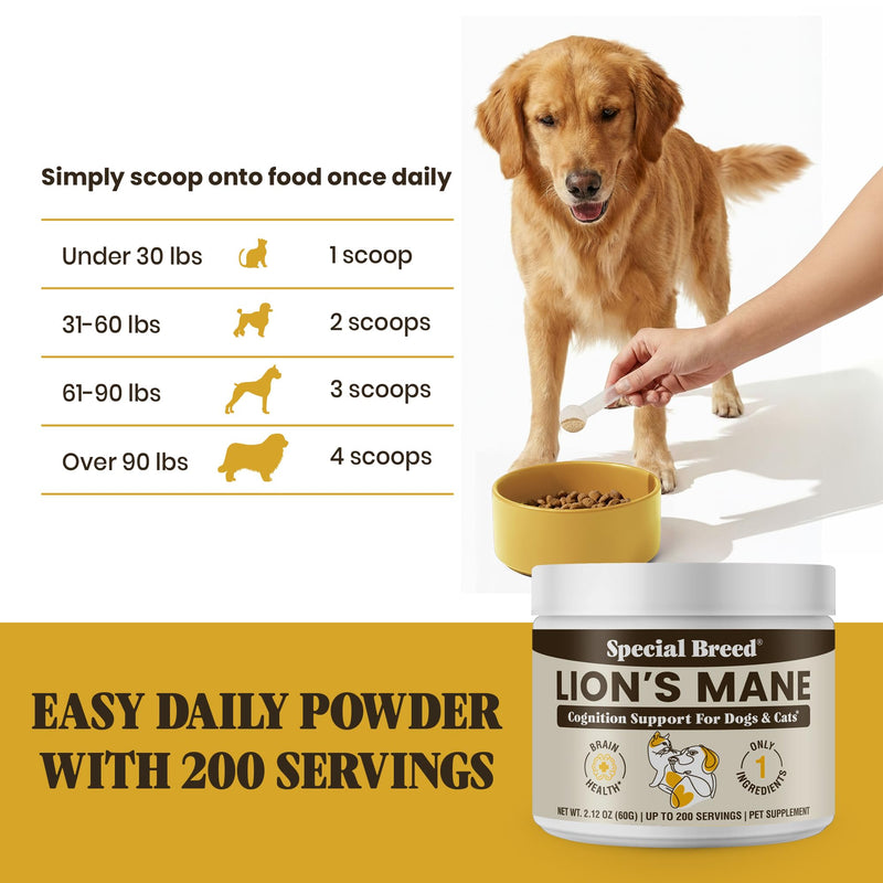 Lion’s Mane for Dogs & Cats - Cognitive & Brain Support Supplement - Supports Memory, Focus & Nervous System Health - Organic Mushroom Powder - 200 Servings