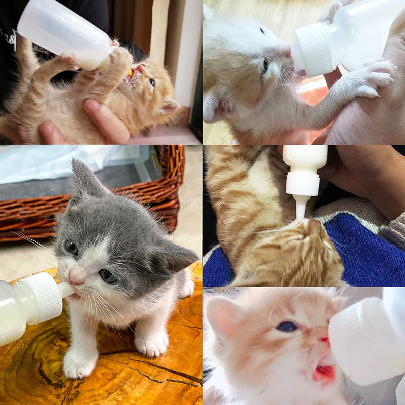 Bottle Kit 60ml Pet Feeding Bottle, pet Feeding Tool, Newborn Animal Feeder Practical, Replacement Pet Bottle with 10pcs Nipples - BeesActive Australia