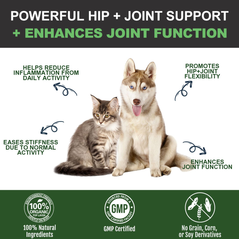 Green Lipped Mussel for Dogs & Cats High Strength Joint Supplement – Glucosamine MSM Chondroitin – Hip & Joint Support, Mobility & Arthritis Care CHEWS (DUCK FLAVOUR)
