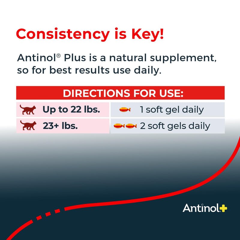 Antinol Plus, Mobility, Hip, and Joint Supplement for Cats, Green-Lipped Mussels and Krill Oil - Cat Joint Supplement, 30 Soft Gels 30 Count