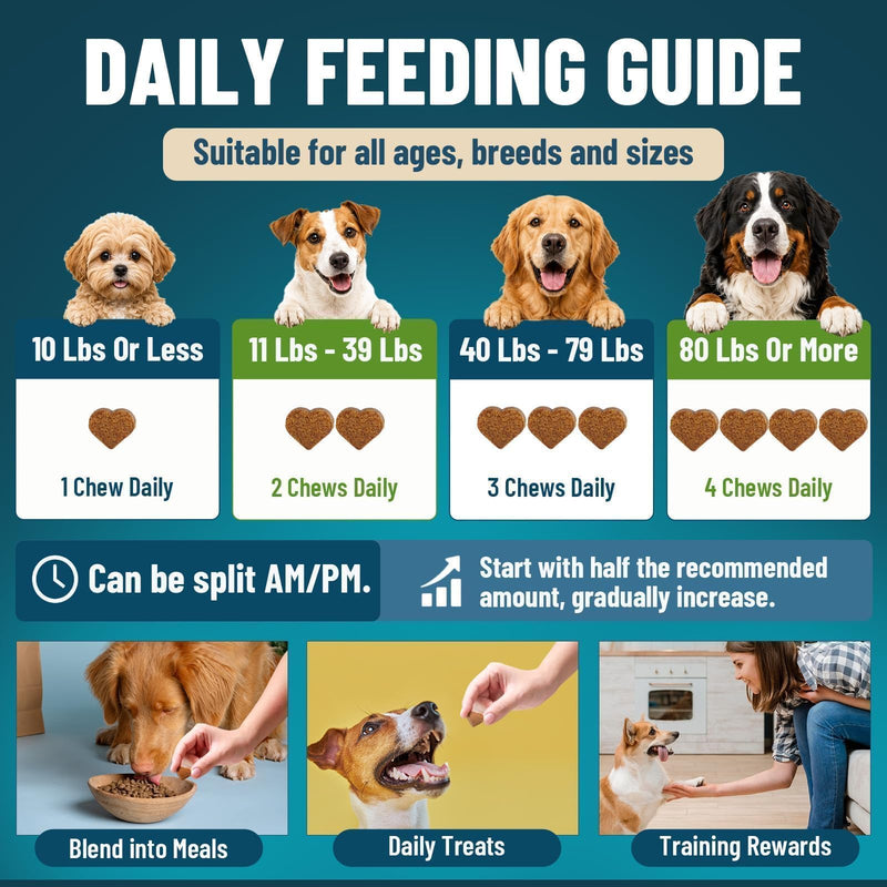 Probiotics for Dogs, 200 Soft Dog Probiotic Chews for Dogs Gut Health Digestive & Immune Support, Dog Probiotics for Yeast Itchy Skin with Digestive Enzymes, Pumpkin, Constipation & Diarrhea Relief