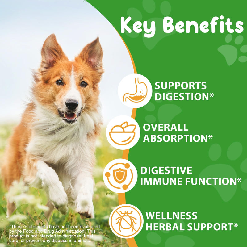 Dog Worming Gut Health Supplement Drops with Probiotics - 60ml, 100% Natural Support for Digestive & Immune Health, Aids Nutrient Absorption & Intestinal Parasite Prevention (via Gut Care)