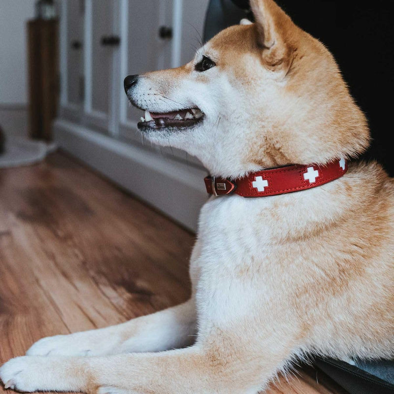 HUNTER SWISS Dog Collar, Leather, High Quality, Swiss Cross, 60 (M-L), Red/Black 60 (M-L) Collar