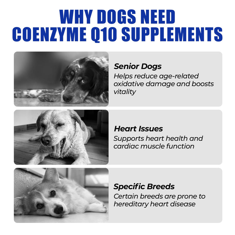 Just Try Coenzyme Q10 Heart Heathy Bites for Dogs - Advanced q10 & Taurine Supplement for Heart Health - Chicken Flavored Chews - Supports Heart Function-10.58oz