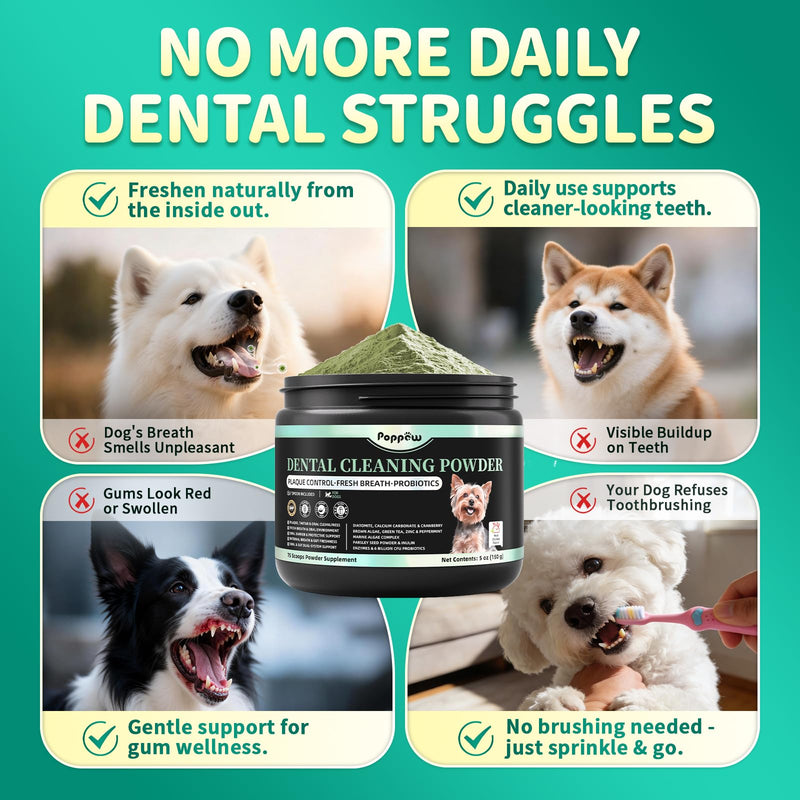 Dog Dental Powder – Teeth Cleaning Powder with 6B CFU Probiotics, Enzymes & Antioxidants, Plaque & Tartar Off, Fresh Breath Support, 75 Days, Mint Chicken Flavor, No Brushing Oral Care 5.29 Ounce (Pack of 1)