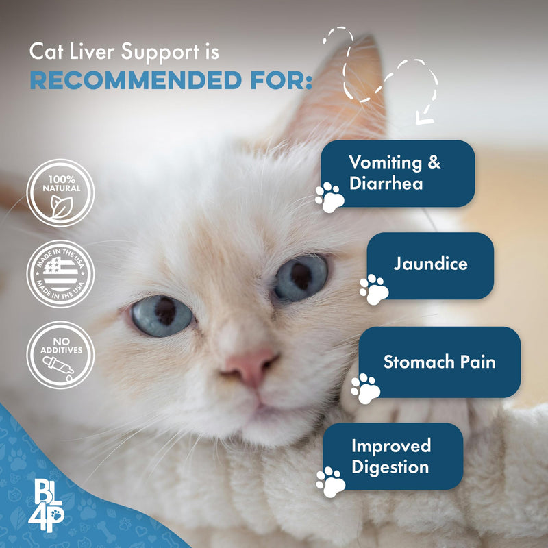 Hepatic Liver Support for Cats Dissolvable,Homeopathic, Digestive Feline Supplement for Liver Detox and Nutrient Absorption 100% All Natural, Easy to Give, Free of Chemicals or Additives, 400 Pills - BeesActive Australia