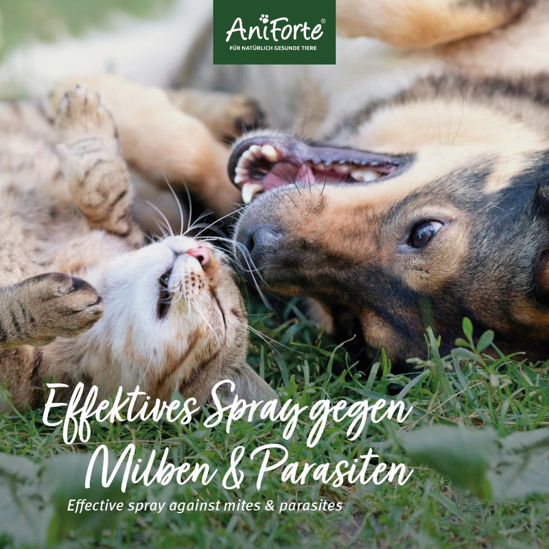 AniForte mite spray for dogs and cats 100 ml - anti-mite spray for effective defense against insects, parasites and vermin, mite stop and mite protection against mite infestation - BeesActive Australia