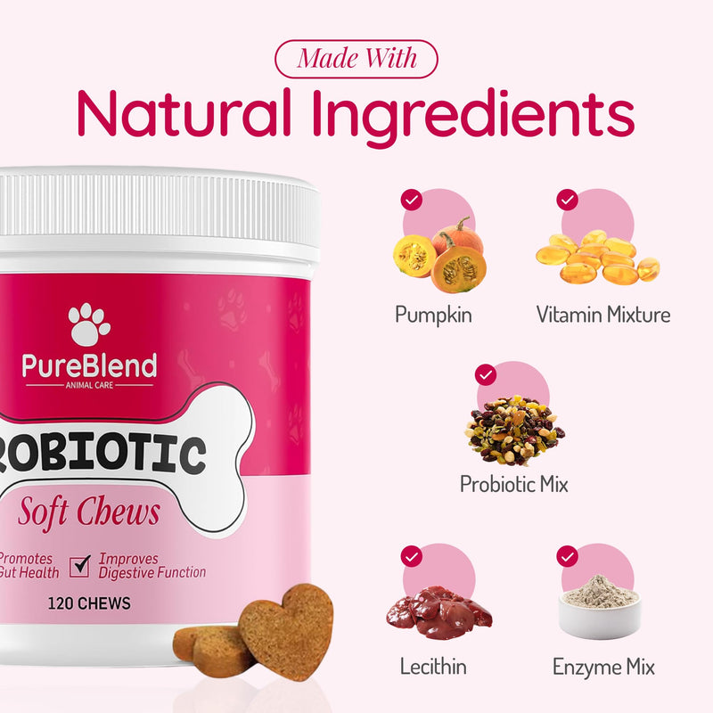 PureBlend Probiotic Soft Chews for Dogs — Dog Gut Health Supplement with Pumpkin, Prebiotics, Enzymes & Vitamins — 120 Chews, Up to 4 Month Supply