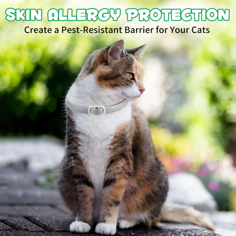 QLIGES tick flea collar cat, flea collar for cats 4 pieces, effective protection for 24 months, protection against skin allergies, soft and comfortable, adjustable, waterproof, suitable for all cats gray - BeesActive Australia