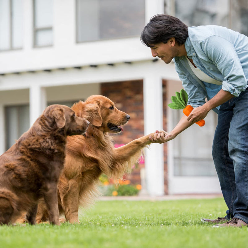 MewaJump Interactive Dog Toys, Durable Dog Chew Toy for Aggressive Chewers Rubber Pet Toy Dog Dental Chew for Small, Medium Breed Orange-Carrot - BeesActive Australia