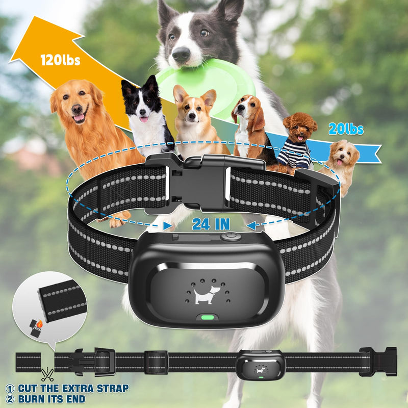 Dog Shock Collar - [2025 Newly Upgraded] Dog Training Collar with Remote, IPX7 Waterproof Electric Collar with Unique Shock-Lock, Rechargeable E-Collar for Small Medium Large Dogs All Breeds Black 1-PACK - BeesActive Australia