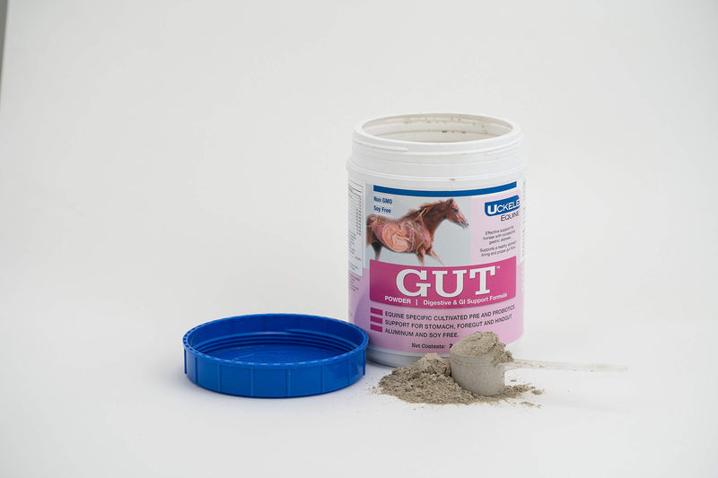 Uckele Gut Horse Supplement - Equine Vitamin & Mineral Supplement - 2 pound (lb) - BeesActive Australia