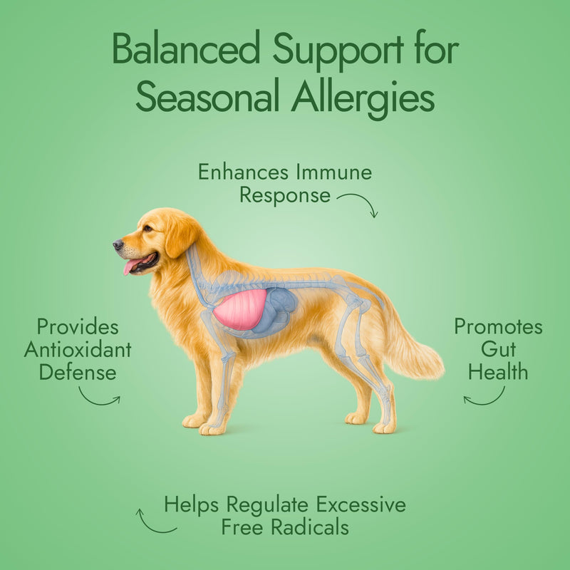 Pet Vet Allergy Relief Chews for Dogs (Beef Liver) – Itchy Skin Relief for Dog Allergies – Skin Irritation Treatment, Allergy Chews, Pet Probiotics – Dog Health