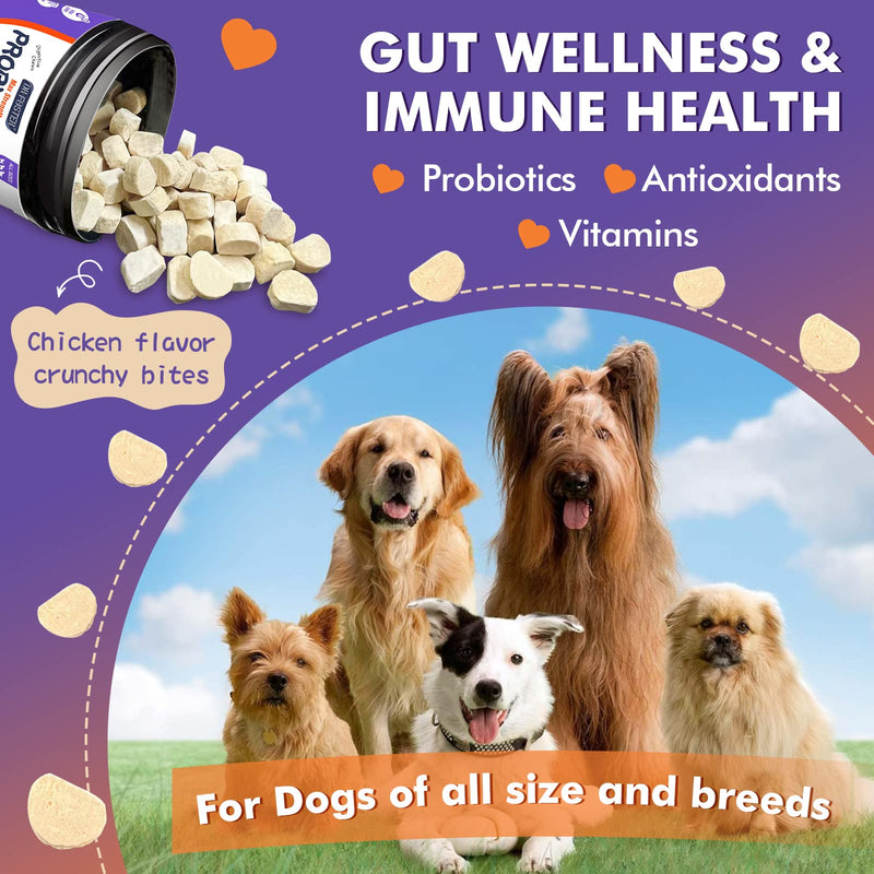 DRFOSTER Probiotics for Dogs, Freeze-Dried Dog Probiotics and Digestive Enzymes, Plus Omega-3 for Itchy Skin, Prebiotics for Digestive Health, Dog Vitamins and Supplements for Immune Health, 180 Bites Purple
