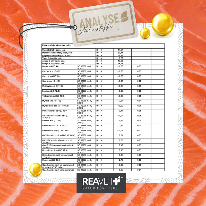 ReaVET TEST VERDICT VERY GOOD 02/24 Salmon oil for dogs, cats 500ml - Rich in Omega 3 & 6, fish oil for dogs in high doses I Real food quality without additives I Freshly bottled in Germany 500 ml - BeesActive Australia
