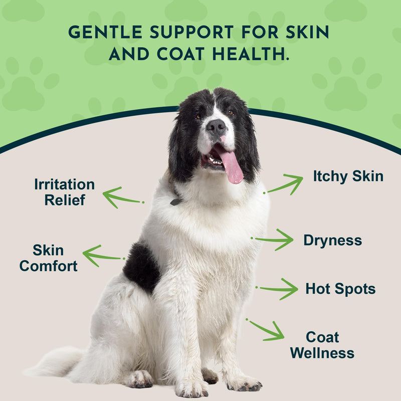Animal Essentials Fido-Derm Herbal Skin Spray for Dogs, Cats, & Horses - Itch Relief & Hot Spot Spray, Natural Skin Support for Seasonal Allergies, Soothing & Gentle - 4 fl oz 1-Pack