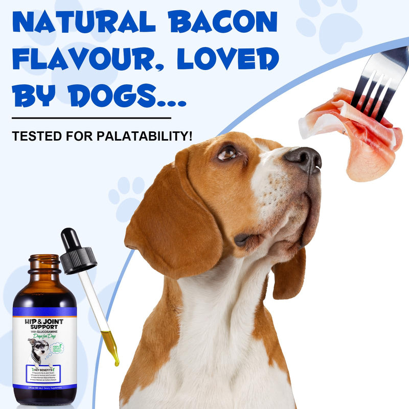 Joint Nutritional Support Liquid for Dogs,60mlx2| With Glucosamine & Plant-Based | Daily Wellness Formulation For All Breeds