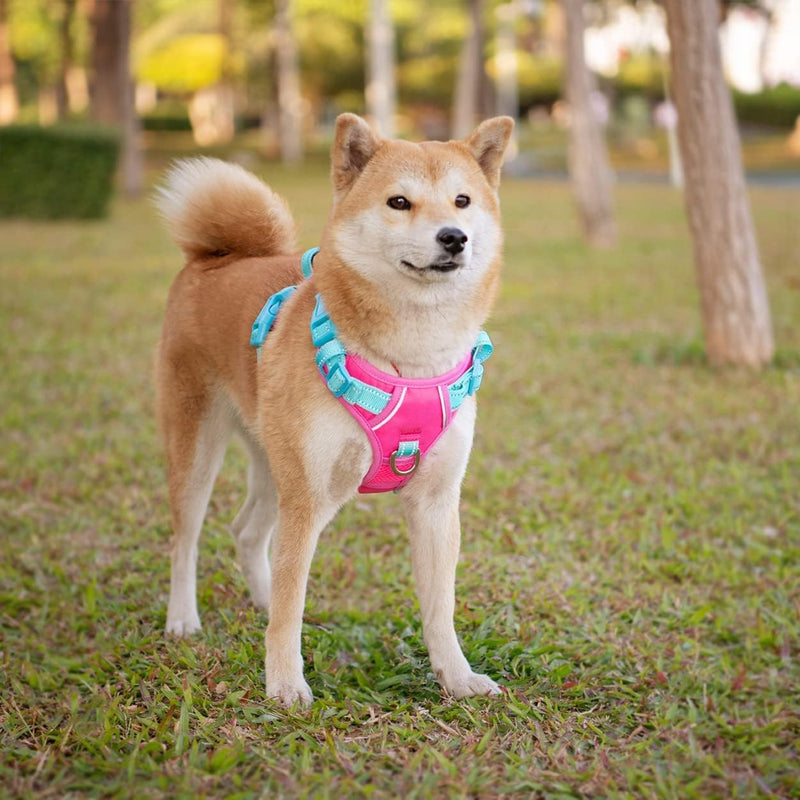 PHOEPET No Pull Dog Harness, Reflective Dog Vest with Soft Training Handle for Small, Medium and Large Dogs (Pink Base and Green Straps, S) Pink Base and Green Straps - BeesActive Australia