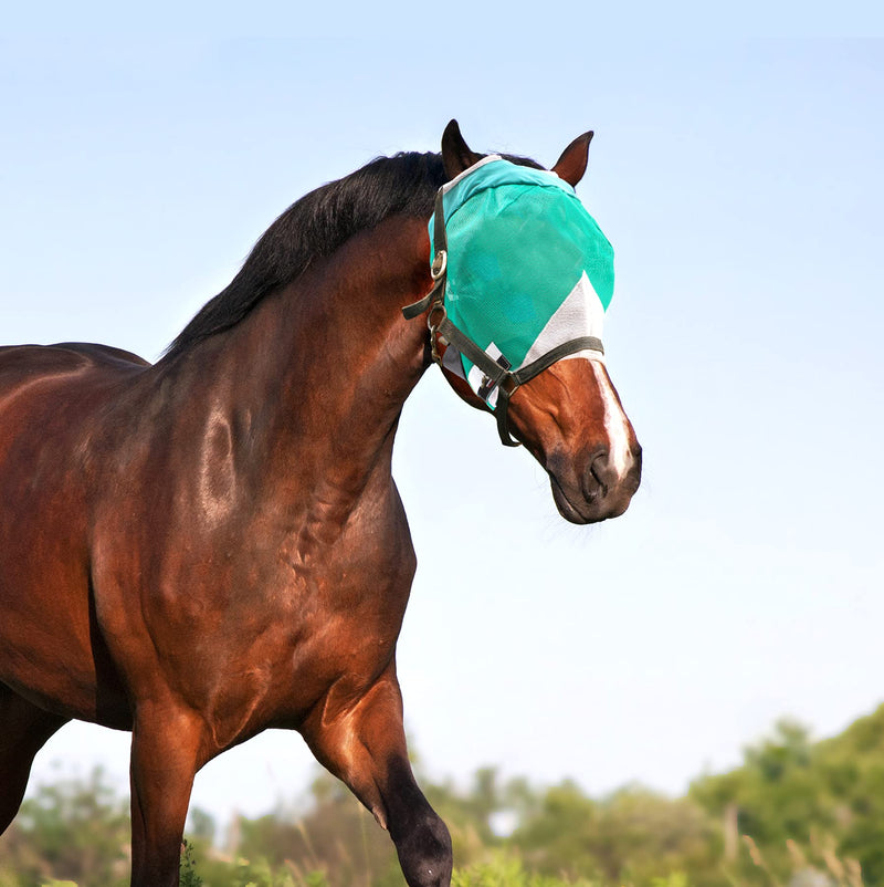 Downtown Pet Supply - Horse Fly Mask without Ears/Nose - Horse Mesh Face Mask or Horse Face Cover with Velcro Straps and Fleece Lined Ear Holes - XL - BeesActive Australia